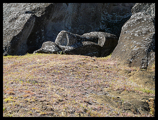 moai Rano Raraku